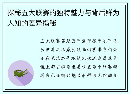 探秘五大联赛的独特魅力与背后鲜为人知的差异揭秘