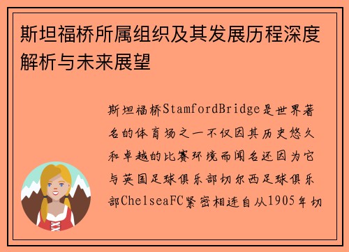 斯坦福桥所属组织及其发展历程深度解析与未来展望 斯坦福桥所属组织及其发展历程深度解析与未来展望