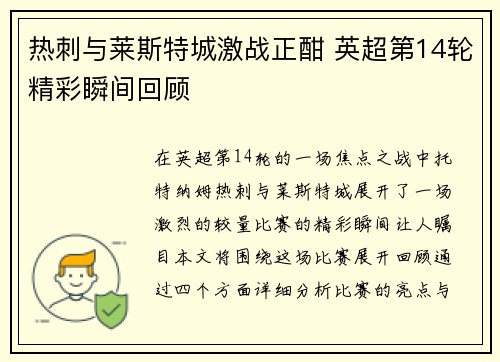 热刺与莱斯特城激战正酣 英超第14轮精彩瞬间回顾