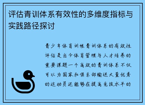 评估青训体系有效性的多维度指标与实践路径探讨